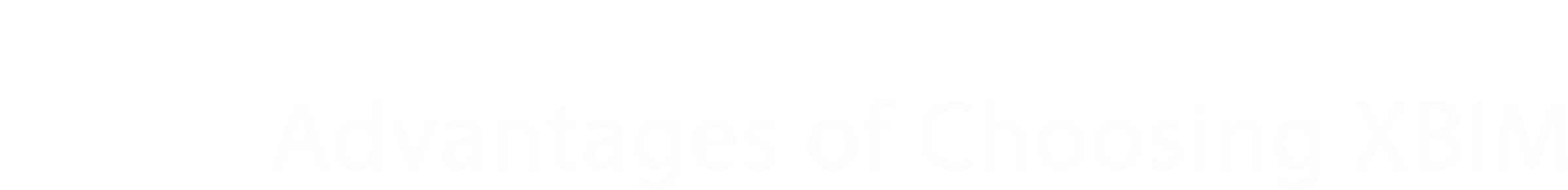 BIM Project
